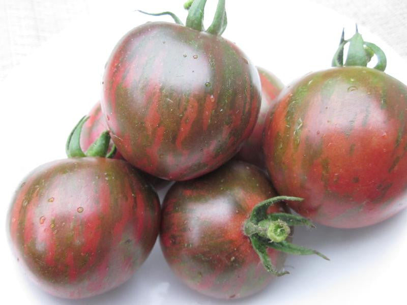 Violet Jasper Tomato