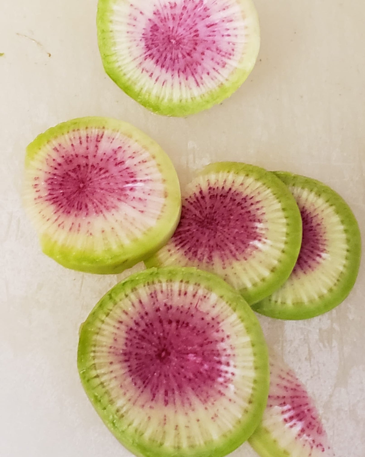 Watermelon Radish