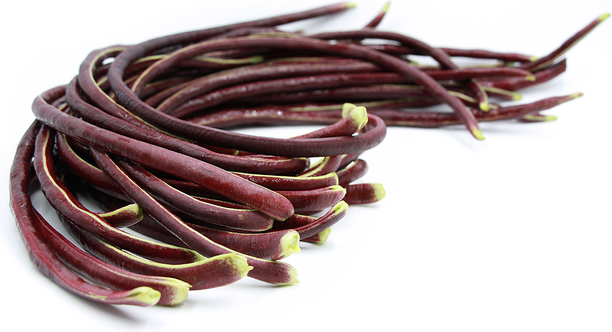 Thai Purple Podded Yard Long Bean