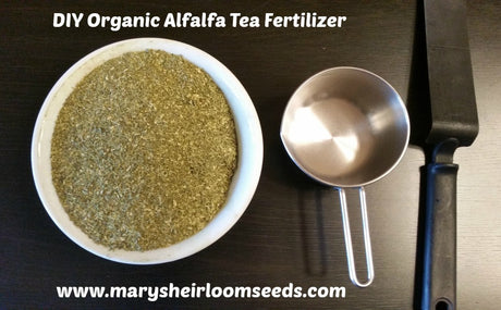 Benefits of Using Organic Alfalfa Meal in the Garden