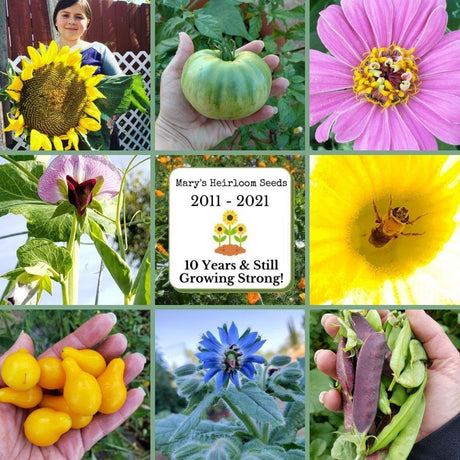 Mary's Heirloom Seeds 10 Year Anniversary SEED GIVEAWAY