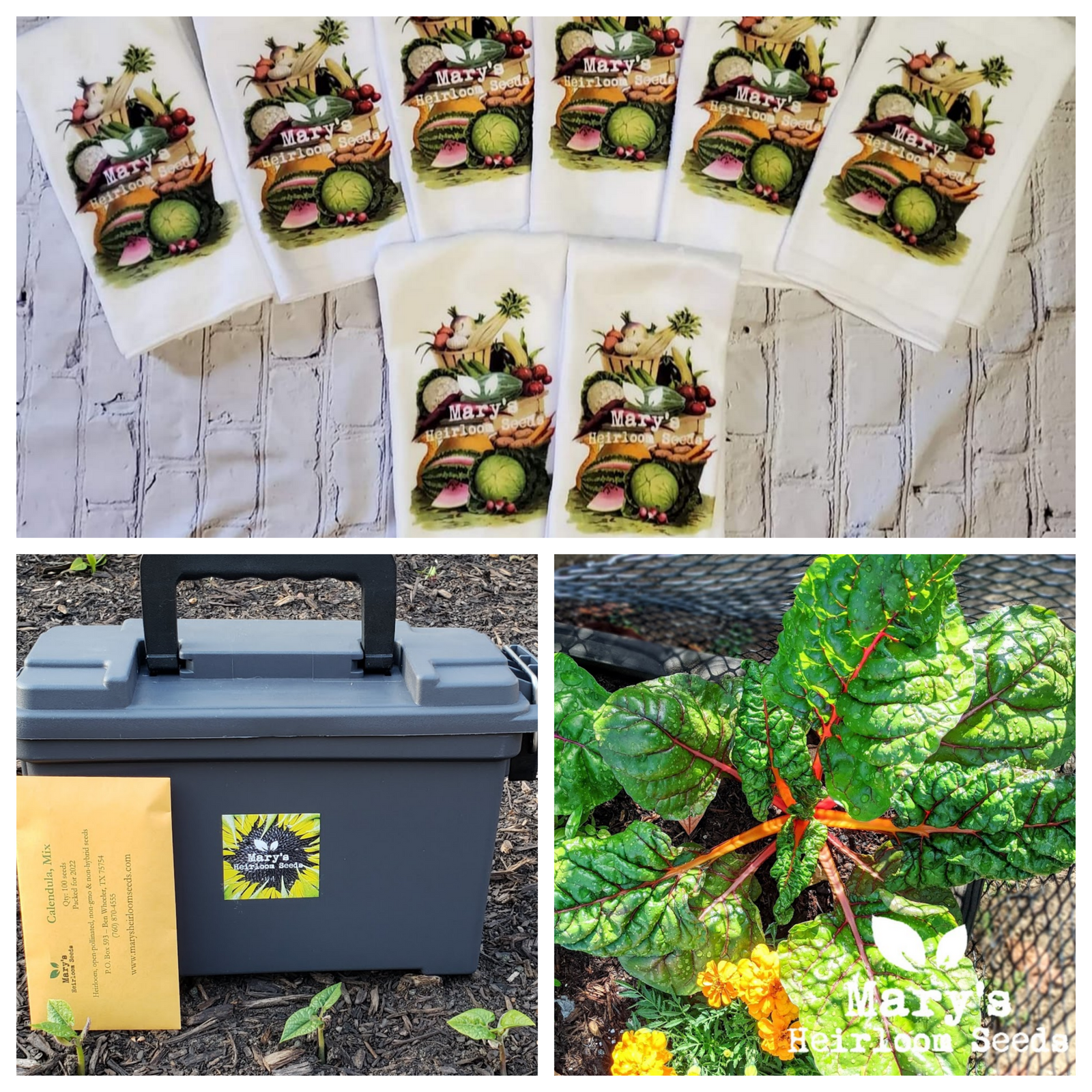 AUGUST SEED GIVEAWAY