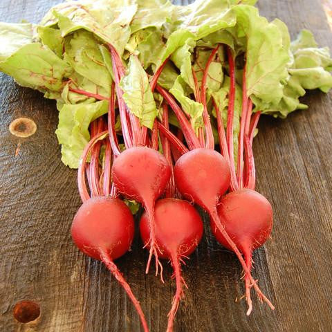 Growing Organic Beets from Seed to Harvest