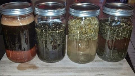 Getting Started with Herbal Remedies