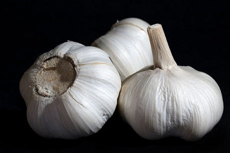 Are You Eating Toxic Garlic?