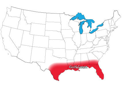 Gulf Coast Vegetable Planting Guide