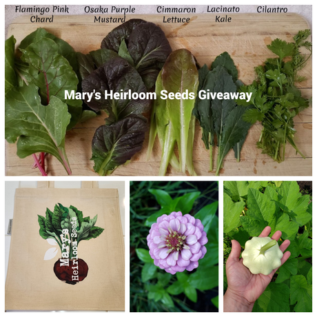JULY SEED GIVEAWAY @ MARY'S HEIRLOOM SEEDS
