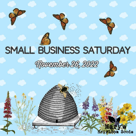 SMALL BUSINESS SATURDAY SPECIALS 2022