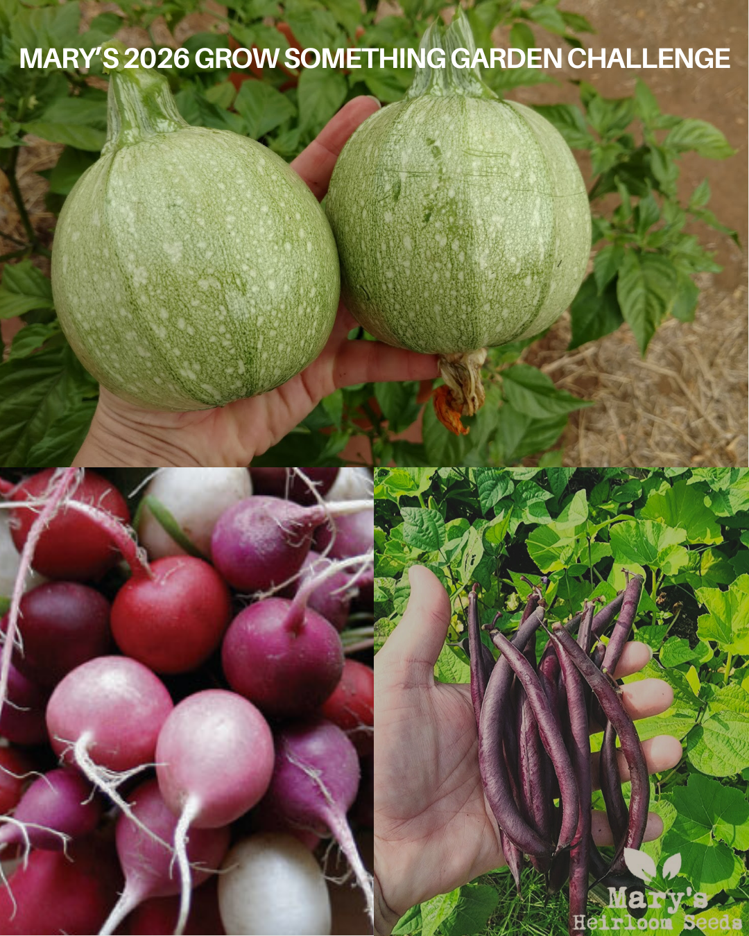 Mary's 2026 Grow Something Garden Challenge