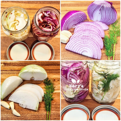 Pickled Onion Recipe - Refrigerator