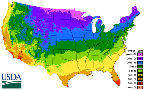 Zone 3 Vegetable Planting Guide