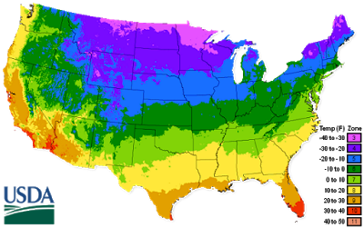 Zone 8 Vegetable Planting Guide