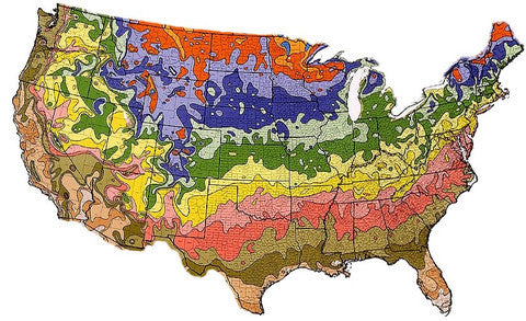 JULY SEED PLANTING GUIDE FOR THE US