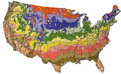 MARCH Seed Planting Guide for the US By Region