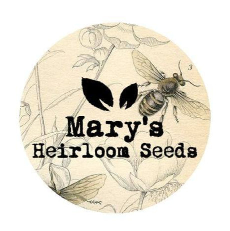 PLANT FOR POLLINATORS 2026