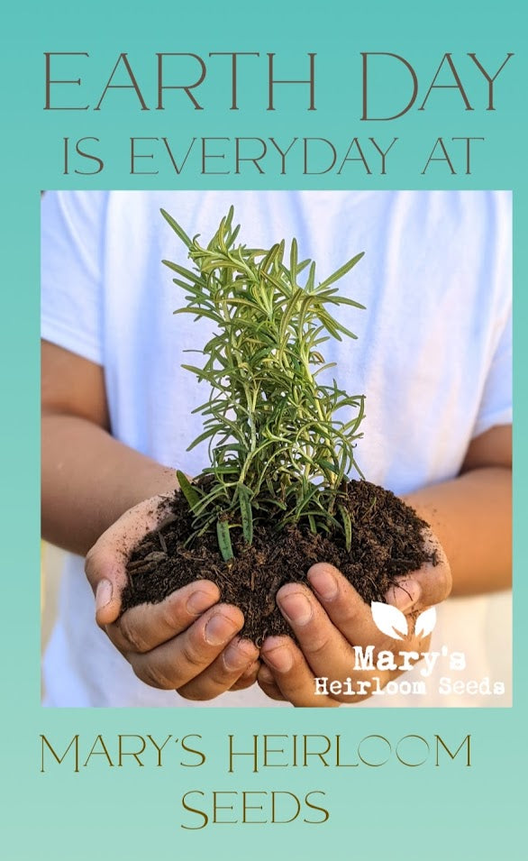 APRIL SEED GIVEAWAY
