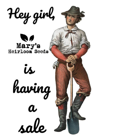 Mary's Heirloom Seeds Pre-Fall/September Seed Sale