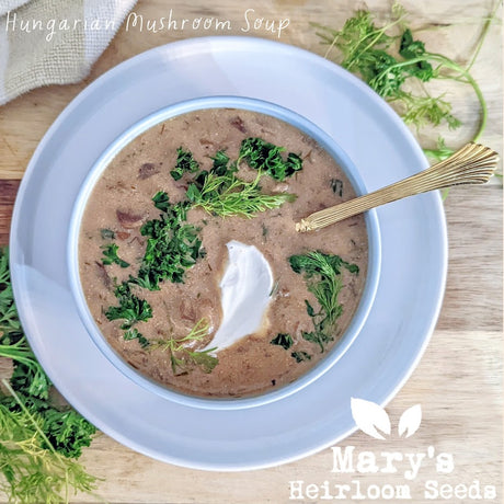 Hungarian Mushroom Soup Recipe