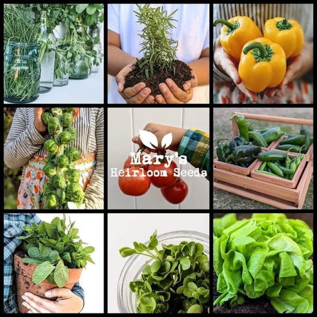 Garden Gift Guide for 2024