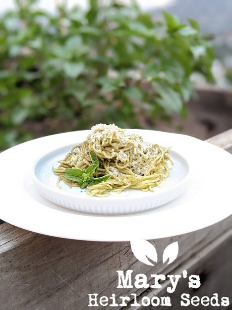 Macadamia Pesto Recipe