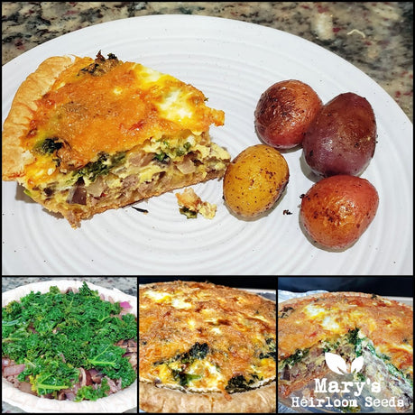 Garden Veggie Quiche Recipe