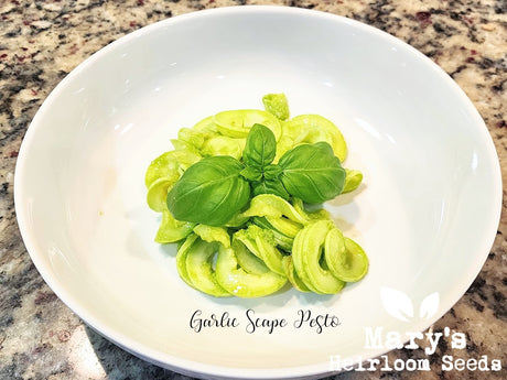 Garlic Scape Pesto with Zucchini Ribbons