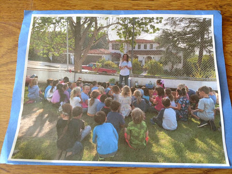 School Garden Donation Program at Mary's Heirloom Seeds