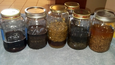 DIY Tincture Kits