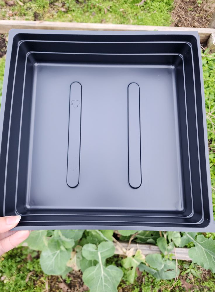 10X10 tray with 6 Cell Germination Trays