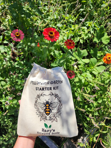 Pollinator Garden Starter Kit