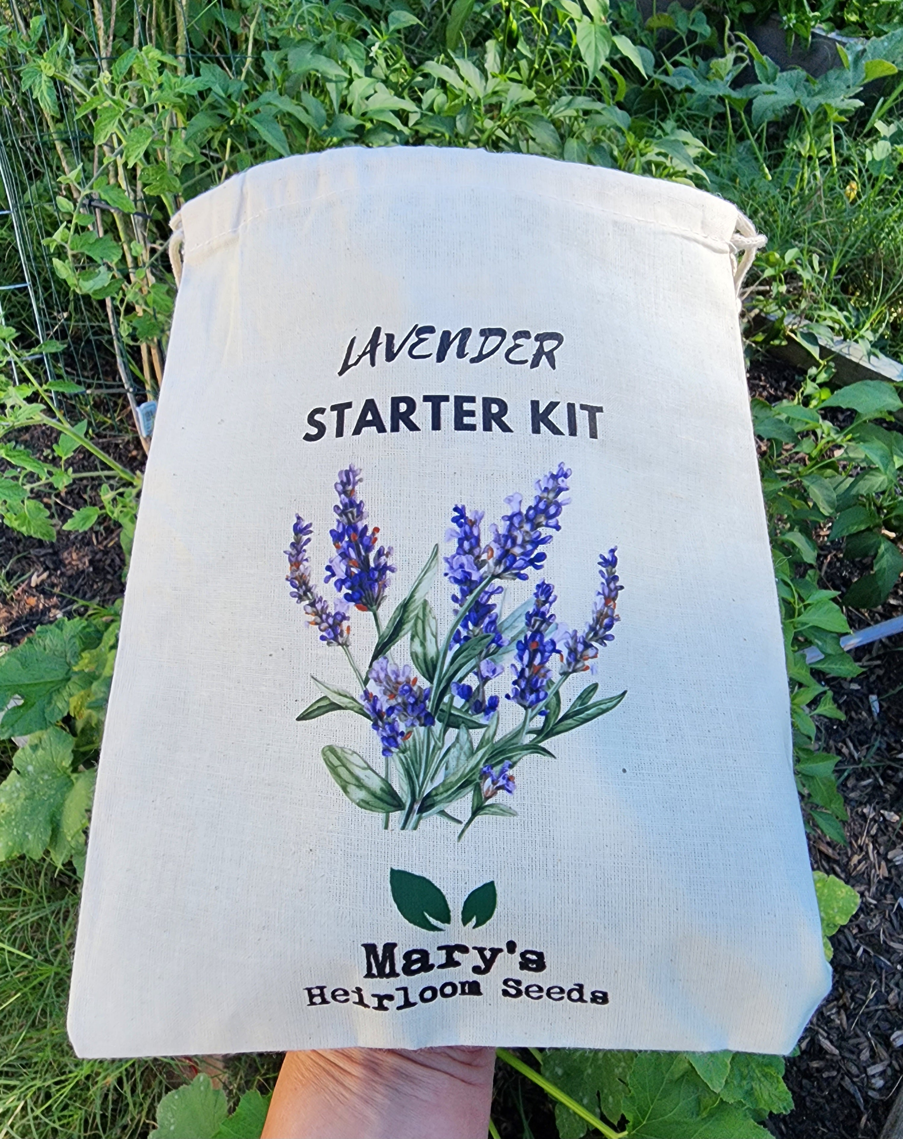 Lavender Starter Kit – Mary's Heirloom Seeds