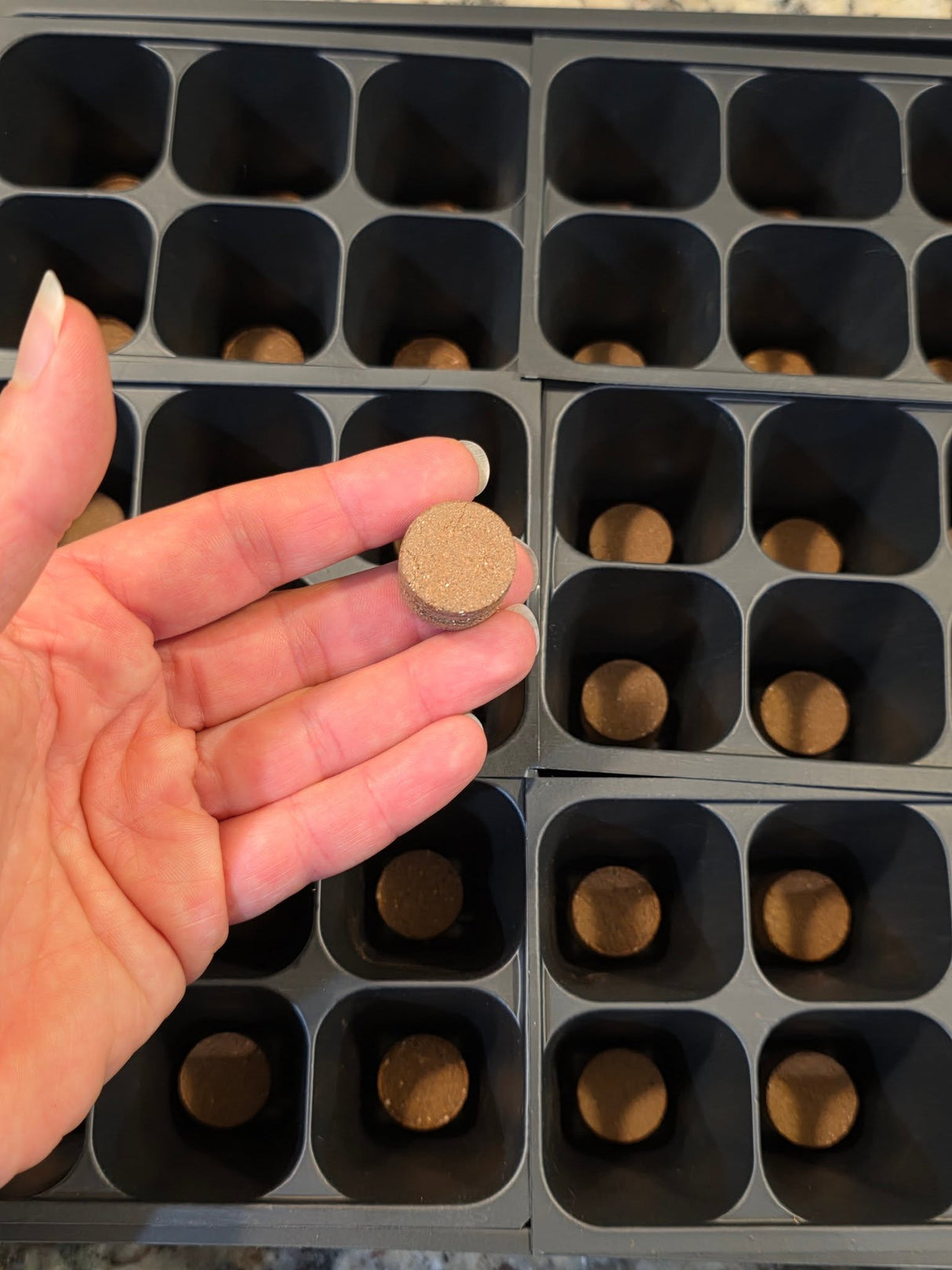 36 Cell Seed Starting Kit with Coconut Coir & Seeds