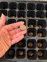 36 Cell Seed Starting Kit with Coconut Coir & Seeds