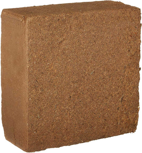 XL Coconut Coir Brick - New