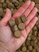 36 Cell Seed Starting Kit with Coconut Coir & Seeds