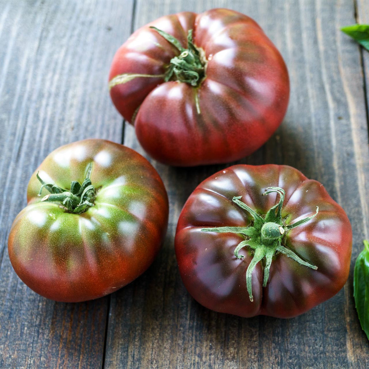 Black Brandywine Tomato, potato leaf