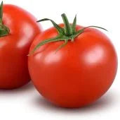 Calypso Tomato