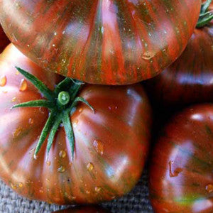 Chocolate Stripes Tomato