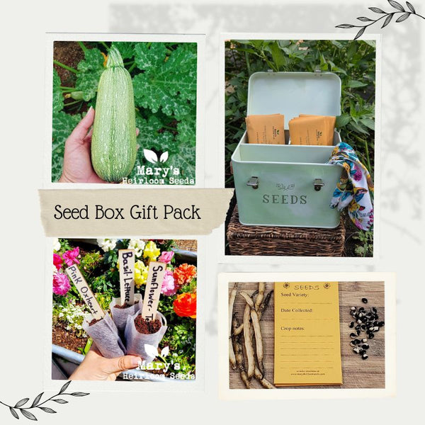 flower seeds gift box Seed Box Gift Pack – Mary's Heirloom Seeds