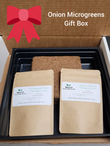 Onion Microgreens Starter Kit GIFT BOX