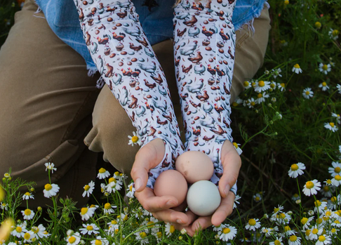Protection Sleeves - Chickens & Eggs