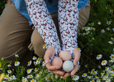 Protection Sleeves - Chickens & Eggs