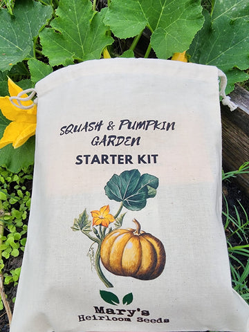 Squash & Pumpkin Garden Starter Kit