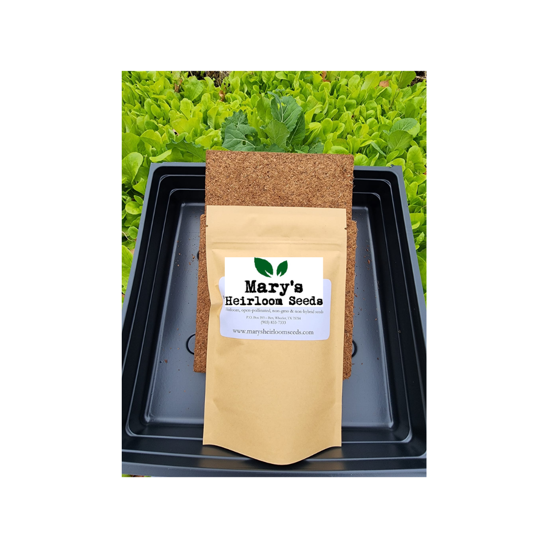 Cilantro Microgreens Starter Kit GIFT BOX
