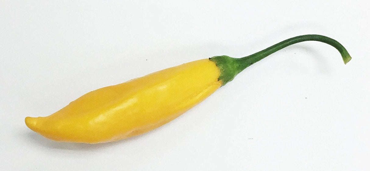 Aji Cito Pepper