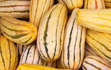June 2026 Seeds of The Month