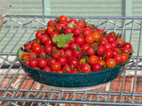 March 2026 Seeds of The Month