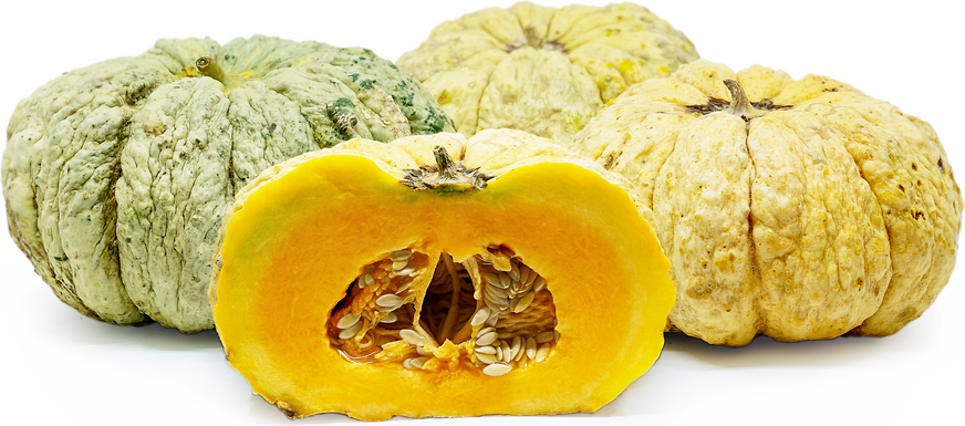 Prescott Fond Blanc Melon