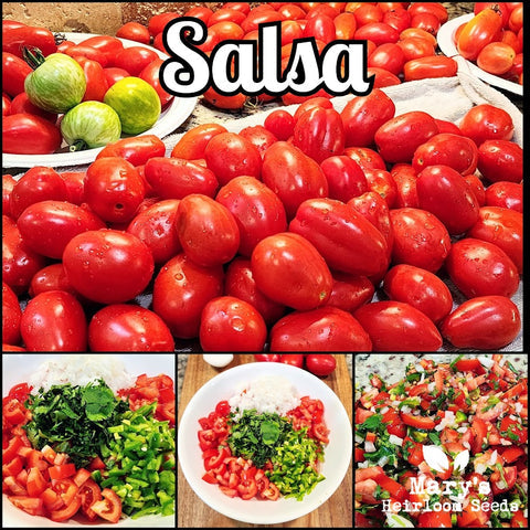 garden salsa seeds Salsa Garden Combo Pack