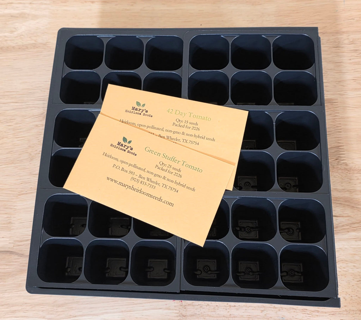 10X10 tray with 6 Cell Germination Trays